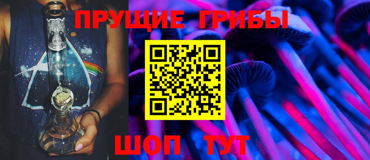 Галлюциногенные грибы Psilocybe Лабытнанги